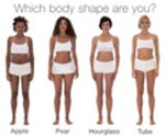 New ways of looking at body types