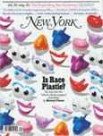 New York Magazine - Is Race Plastic? My Trip Into the 'Ethnic Plastic Surgery' Minefield